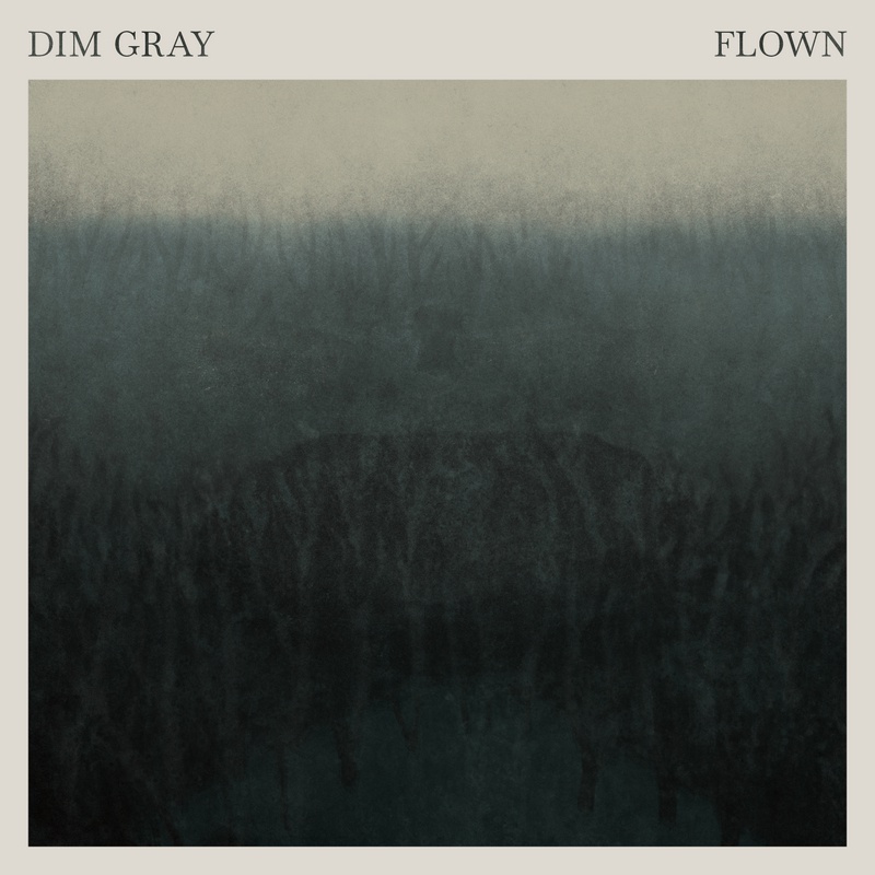 Dim Gray - debiutancka płyta norweskiej formacji prog-rockowej