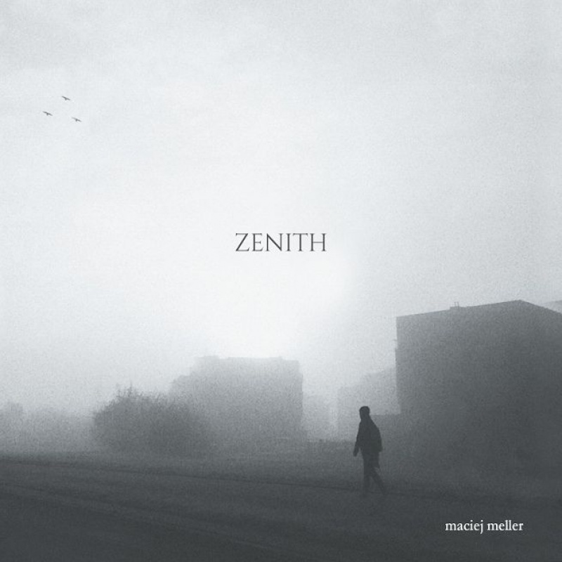 Maciej Meller – Zenith