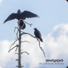 Soulgrind – Ad Pulchram Mortem
