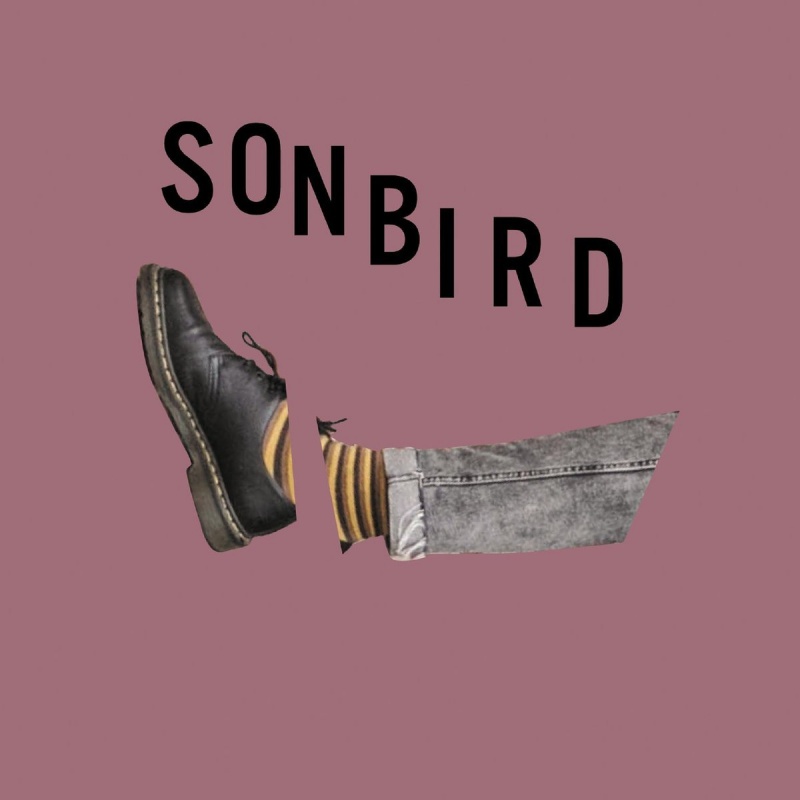 Ostatni singiel Sonbird