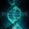 Disturbed &quot;EVOLUTION!&quot;