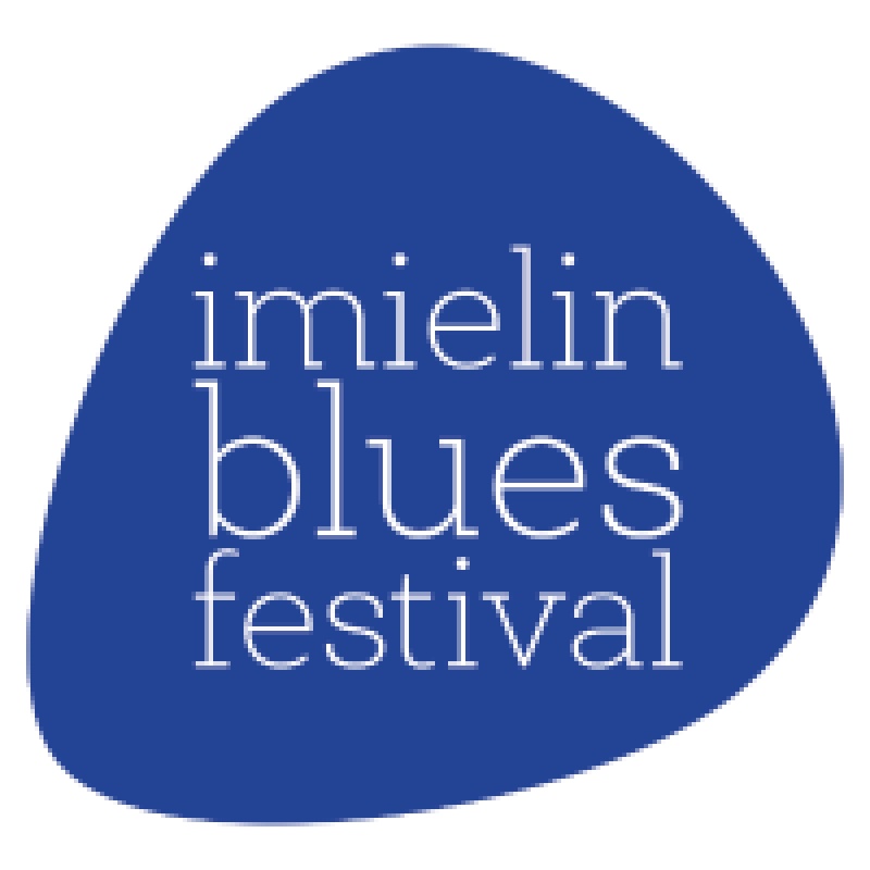 Zagraj na 11. Imielin Blues Festival