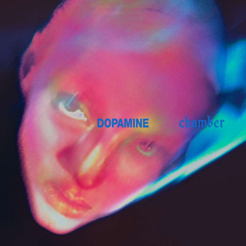 FONTAINES D.C. "Dopamine Chamber"