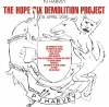 PJ HARVEY &quot;The Hope Six Demolition Project&quot;