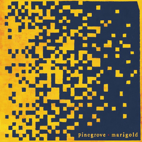 Pinegrove "Marigold"